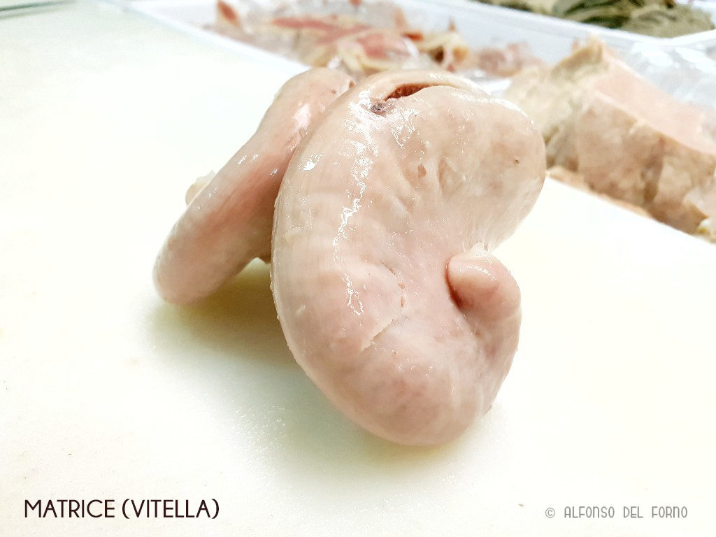 pere-musso-matrice-vitella