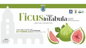 ficus-in-tabula